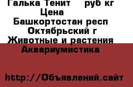 Галька Тенит 40 руб/кг › Цена ­ 40 - Башкортостан респ., Октябрьский г. Животные и растения » Аквариумистика   